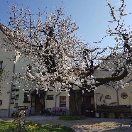 Ferienwohnung Zum-Alten-Kirschbaum Limburg an der Lahn Eksteriør bilde