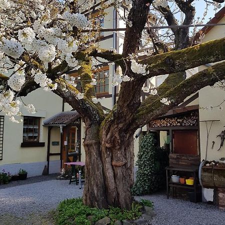 Ferienwohnung Zum-Alten-Kirschbaum Limburg an der Lahn Eksteriør bilde