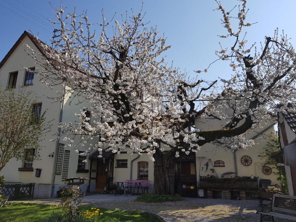 Ferienwohnung Zum-Alten-Kirschbaum Limburg an der Lahn Eksteriør bilde