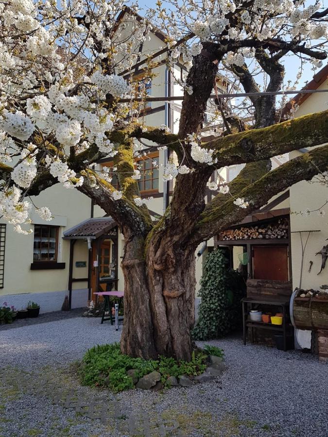Ferienwohnung Zum-Alten-Kirschbaum Limburg an der Lahn Eksteriør bilde