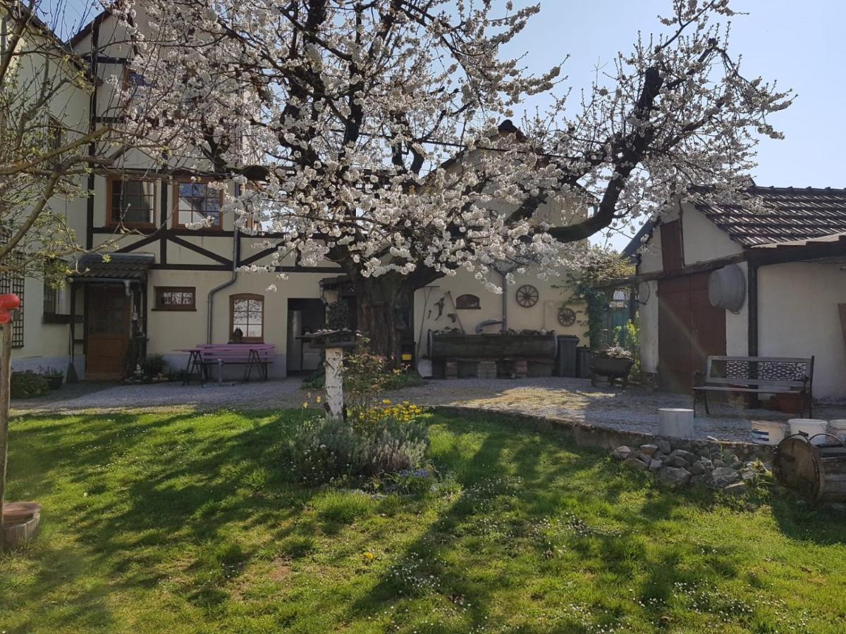 Ferienwohnung Zum-Alten-Kirschbaum Limburg an der Lahn Eksteriør bilde